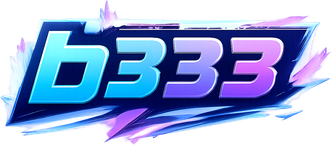 b333